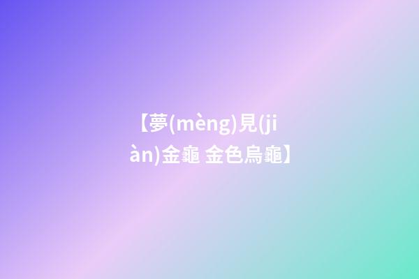 【夢(mèng)見(jiàn)金龜 金色烏龜】